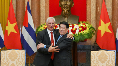 Bí thư Thứ nhất, Chủ tịch nước Cuba Miguel Diaz-Canel Bermudez hội kiến Chủ tịch nước Lương Cường