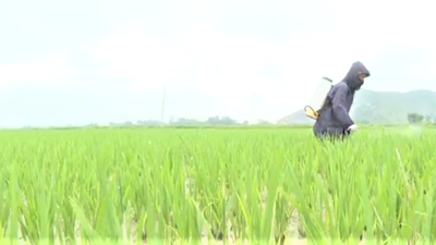Đổi mới hoạt động khuyến nông trong tình hình mới