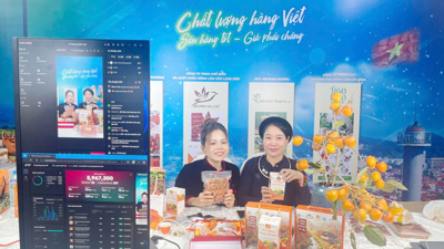 Giải pháp chuyển đổi số cho hộ kinh doanh trong giai đoạn mới