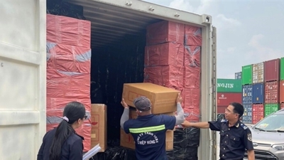 Phát hiện container chứa 1.173 thùng thuốc lá nghi vi phạm sở hữu trí tuệ