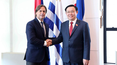 Nâng cao hơn nữa trao đổi thương mại song phương Việt Nam - Uruguay