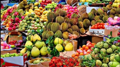 Thái Lan: Xuất khẩu trái cây tăng mạnh vụ mùa năm 2023