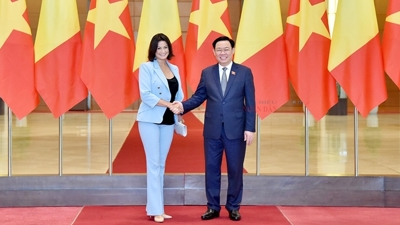 Chủ tịch Quốc hội Vương Đình Huệ đón, hội đàm với Chủ tịch Thượng viện Vương quốc Bỉ
