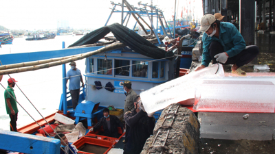 Tăng cường quản lý tàu khai thác hải sản