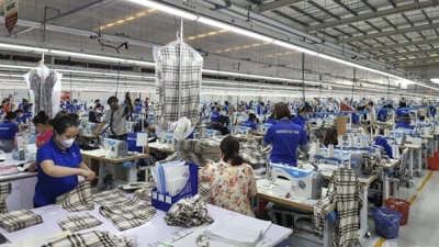 Hiệp định RCEP mở đường cho dệt may Việt chinh phục thị trường