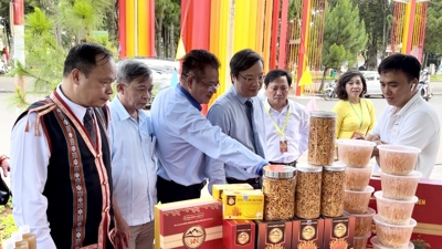 Tỉnh Gia Lai mở rộng cơ hội giao thương hàng hóa sang Lào và Campuchia