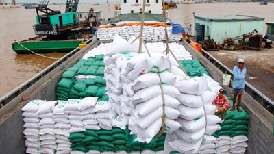 Ấn Độ dự kiến duy trì lệnh cấm xuất khẩu gạo đến năm 2024