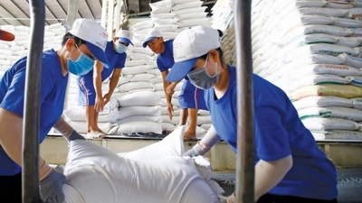 Nguyên nhân giá gạo Thái Lan tăng, gạo Việt đứng yên