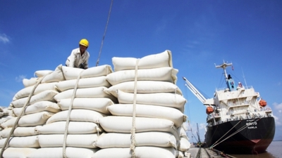 Sản lượng gạo, lúa mì của Ấn Độ sẽ giảm trong niên vụ 2023/2024