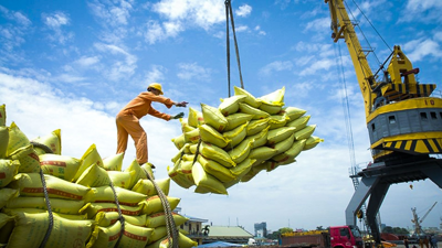 Xuất khẩu tăng mạnh 3 con số, gạo Việt Nam "rộng cửa" tại thị trường Senegal
