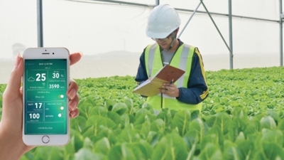 Nông nghiệp ứng dụng công nghệ cao ở Việt Nam: Khó khăn và triển vọng