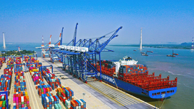 Khẩn trương hoàn thiện Hồ sơ điều chỉnh Quy hoạch tổng thể hệ thống cảng biển Việt Nam
