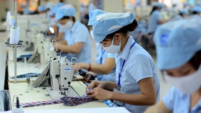 Việt Nam có là lựa chọn mới của nhà nhập khẩu hàng dệt may Mỹ?