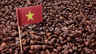 Thị phần cà phê của Việt Nam tại EU tăng khá