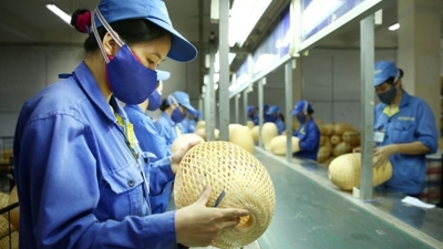 Phân tích năng lực đổi mới sinh thái của các doanh nghiệp nhỏ và vừa tại thị trường Việt Nam