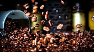 Khủng hoảng nguồn cung, giá cà phê Robusta phá kỷ lục cao nhất lịch sử