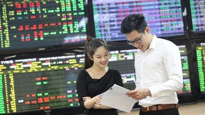 VN-Index sẽ vận động trong biên độ 1.235 - 1.260 điểm tuần 16/9-20/9