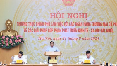 Thường trực Chính phủ làm việc với các ngân hàng thương mại cổ phần