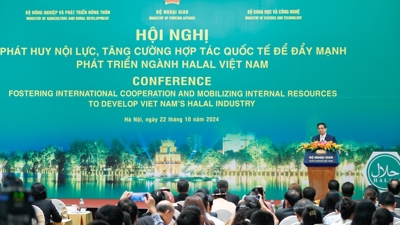 Tăng cường hợp tác quốc tế, đẩy mạnh phát triển ngành Halal Việt Nam