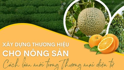 Xây dựng thương hiệu cho nông sản - cách làm mới từ thương mại điện tử