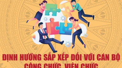 Định hướng sắp xếp đối với cán bộ công chức, viên chức