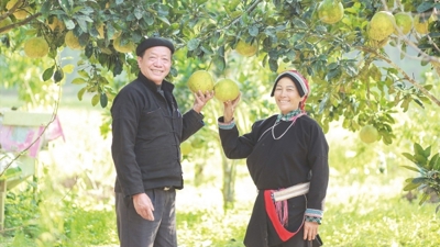 Về Nặm Đăm gặp già làng tiên phong làm kinh tế