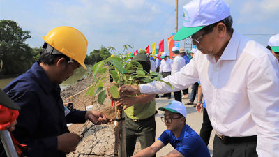 Tỉnh An Giang dự kiến trồng khoảng 3,1 triệu cây xanh trong năm 2025