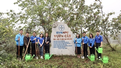 Ban Quản lý dự án Xây dựng điện miền Bắc hưởng ứng phong trào "Tết trồng cây - Đời đời nhớ ơn Bác Hồ” 