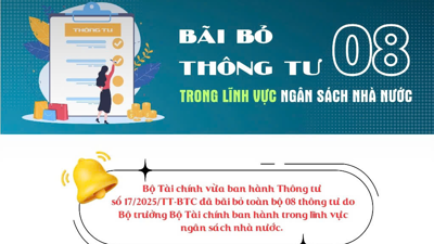 INFOGRAPHIC: Bãi bỏ 08 thông tư trong lĩnh vực ngân sách nhà nước