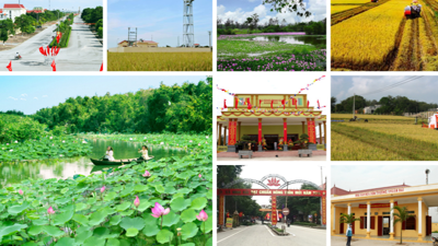 Điều chỉnh vốn ngân sách thực hiện Chương trình mục tiêu quốc gia xây dựng nông thôn mới 