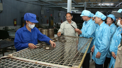 Sơn La hỗ trợ doanh nghiệp vừa và nhỏ phát triển hiệu quả