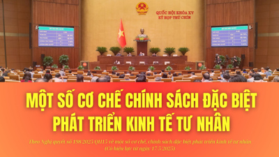 INFOGRAPHIC: Một số cơ chế, chính sách đặc biệt phát triển kinh tế tư nhân