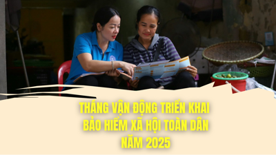 INFOGRAPHIC: Những con số ấn tượng trong Tháng Vận động, triển khai bảo hiểm xã hội toàn dân năm 2025