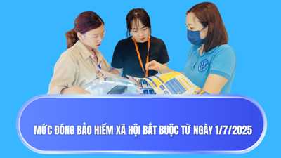 VIDEO: Mức đóng bảo hiểm xã hội bắt buộc từ ngày 1/7/2025