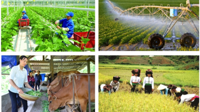 Bộ Tài chính là cơ quan thường trực Ban Chỉ đạo Trung ương chương trình mục tiêu quốc gia 2021–2025
