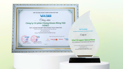 Chứng khoán Rồng Việt công bố báo cáo riêng về phát triển bền vững