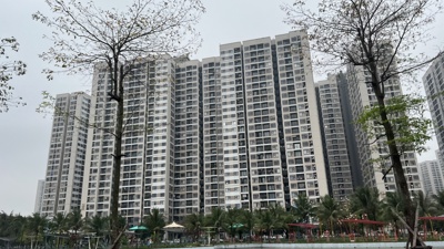 Chung cư - loại hình bất động sản được quan tâm nhiều nhất tại Hà Nội, TP Hồ Chí Minh