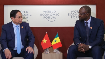 Senegal mong muốn Việt Nam tiếp tục hỗ trợ sản xuất lúa gạo và hạt điều