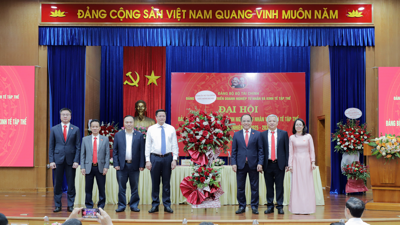 Phát huy vai trò hạt nhân, thúc đẩy kinh tế khu vực tư nhân và tập thể bứt phá