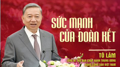 Sức mạnh của đoàn kết
