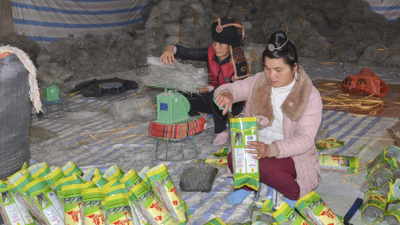 Thúc đẩy tài chính toàn diện và phát triển kinh tế hợp tác trong nền kinh tế số