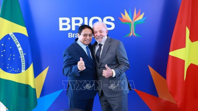 Tăng cường quan hệ Việt Nam - Brazil tương xứng với quan hệ Đối tác chiến lược