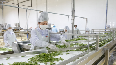 Sơn La: Thu hút đầu tư, hướng tới trung tâm công nghiệp chế biến