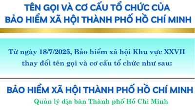 INFOGRAPHIC: Tên gọi và cơ cấu tổ chức của bongdaso dữ liệu xã hội Thành phố Hồ Chí Minh