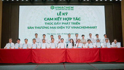 Vinachem hoàn thành xuất sắc mục tiêu bongdaso tintuc trưởng 8%