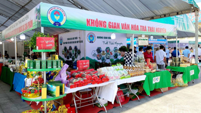 Hợp tác xã điện tử - "Lối vào" mạng lưới doanh nghiệp an toàn cho hộ kinh doanh