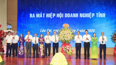 Lào Cai kêu gọi, thu hút doanh nghiệp đầu tư 