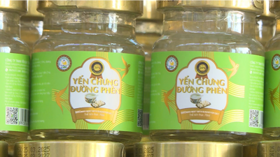 Khởi tố doanh nghiệp sản xuất yến chưng giả tại Phú Thọ
