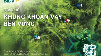 BID vào top 20 cổ phiếu phát triển bền vững nhất Việt Nam lần thứ II liên tiếp