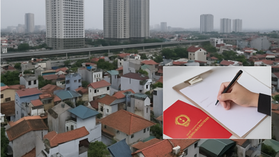 VIDEO: Giữ thuế 2%, lùi phương án thu 20% trên lãi: Vì sao chưa thể thay đổi?